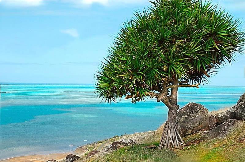 L'Heritage - Vue Sur Mer Bambou Luaran gambar